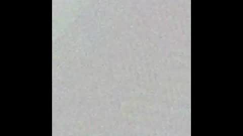 Hollie online show from November 13, 10:29 am