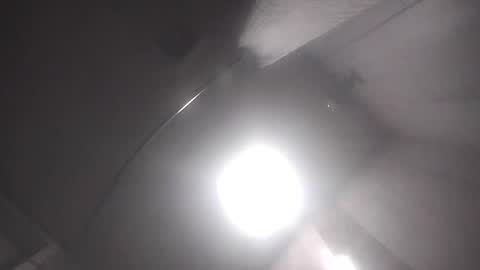 dixonbird41 online show from April 17, 9:44 am