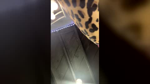 Dogladi online show from January 31, 9:45 pm