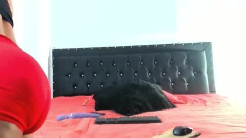 C E L E S T E  online show from September 18, 3:27 pm