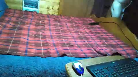 dolomois online show from February 12, 1:06 pm