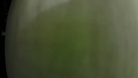 Snapshot of dom_doug chatting on January 31, 1:33 am Dom Doug B. online show from January 31, 1:33 am