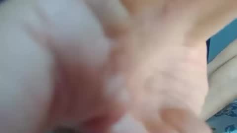 dominic_fox04 online show from December 23, 12:14 am