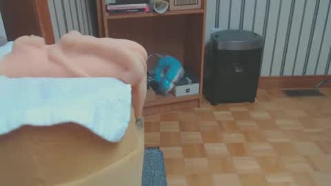 Don online show from February 28, 8:18 pm