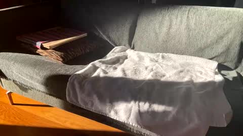 Alfredo online show from January 19, 12:59 pm