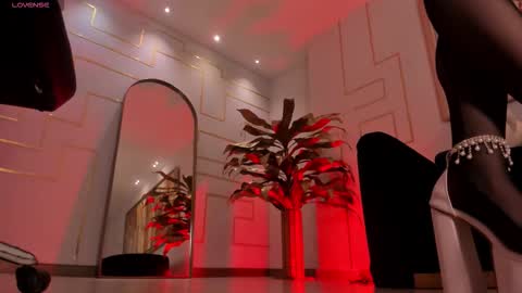  Donna Stonne  online show from December 18, 4:30 am