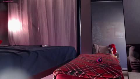 Dorothy Next stream on Monday at 3am-9am online show from December 16, 6:53 am