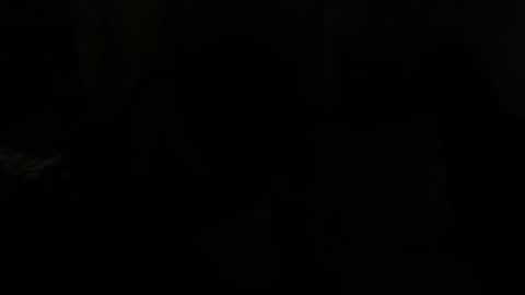 Snapshot of dragon666uwur chatting on January 28, 7:43 am Dragon online show from January 28, 7:43 am