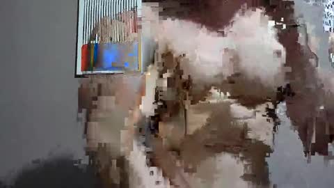 Snapshot of drake__wolf chatting on October 15, 4:38 am drake__wolf online show from October 15, 4:38 am