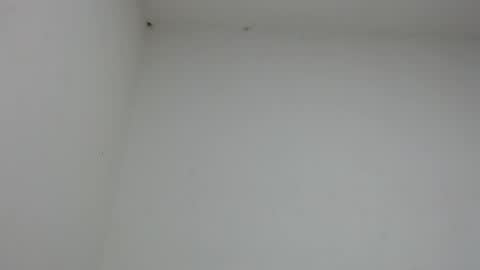 drako_monstercock online show from January 17, 10:29 pm