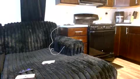 Draya Nicole online show from February 7, 2:42 pm