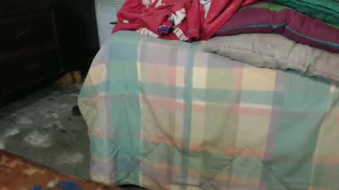 dreamreal online show from October 22, 11:56 am