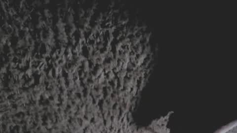 Snapshot of drgiglos42 chatting on February 25, 12:38 pm Dr G online show from February 25, 12:38 pm