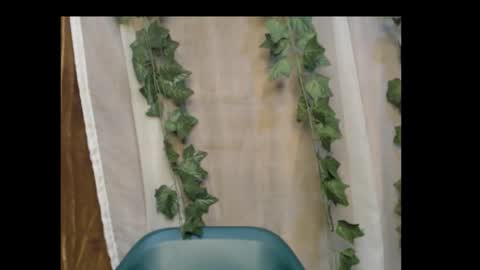 linda online show from October 16, 12:10 am