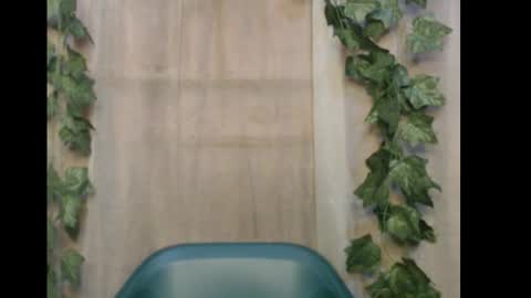 linda online show from December 16, 10:32 am