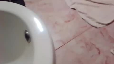 dthedog12 online show from November 21, 11:58 pm