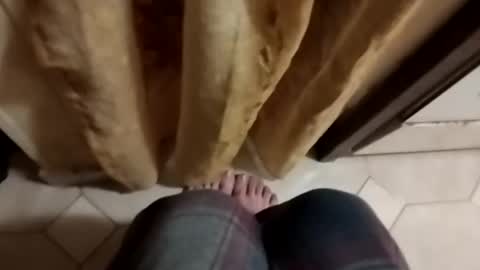 Snapshot of dthedog12 chatting on October 8, 9:10 pm dthedog12 online show from October 8, 9:10 pm