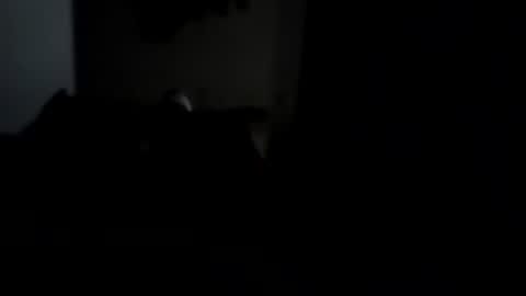 Snapshot of dthedog12 chatting on October 5, 2:42 am dthedog12 online show from October 5, 2:42 am