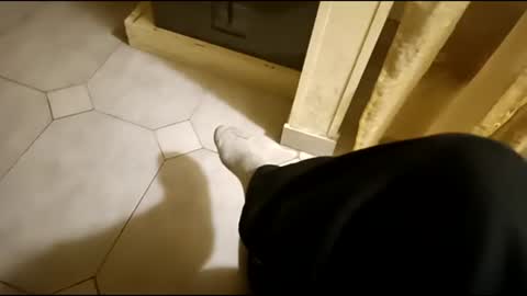 Snapshot of dthedog12 chatting on March 1, 9:37 pm dthedog12 online show from March 1, 9:37 pm