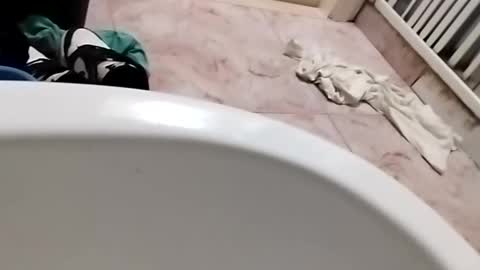 Snapshot of dthedog12 chatting on September 25, 12:06 am dthedog12 online show from September 25, 12:06 am