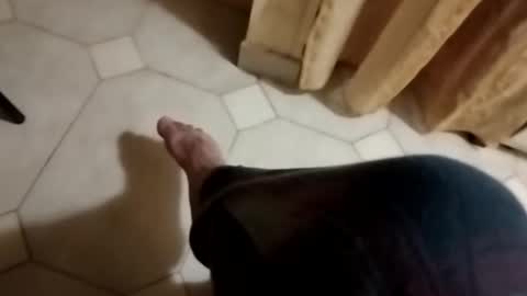 Snapshot of dthedog12 chatting on October 28, 3:07 am dthedog12 online show from October 28, 3:07 am