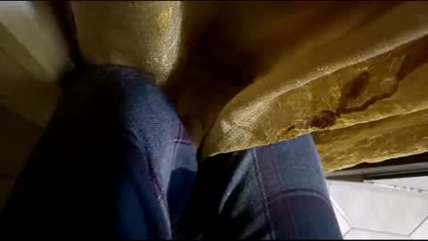 Snapshot of dthedog12 chatting on March 12, 2:09 am dthedog12 online show from March 12, 2:09 am