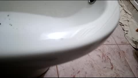 Snapshot of dthedog12 chatting on February 24, 7:52 pm dthedog12 online show from February 24, 7:52 pm