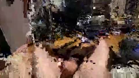 dvvbm2024 online show from November 20, 3:31 pm