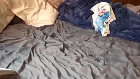 Snapshot of easybreeze69 chatting on February 26, 10:49 am easybreezy69 online show from February 26, 10:49 am