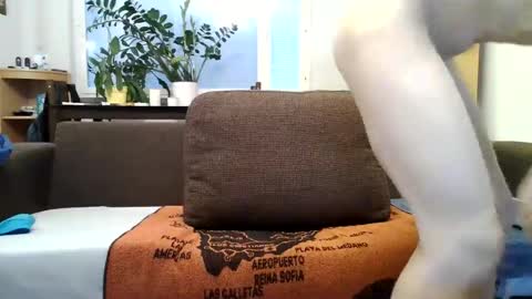 edgeplayer91 online show from December 14, 12:33 pm