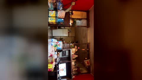 el2ra33fa online show from April 11, 12:09 pm