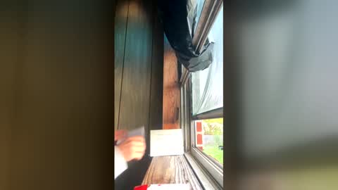 el2ra33fa online show from April 5, 11:51 am