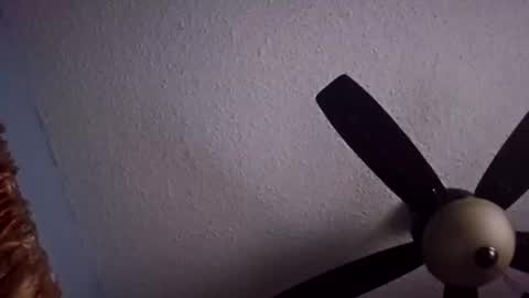 Santos online show from February 16, 9:51 am