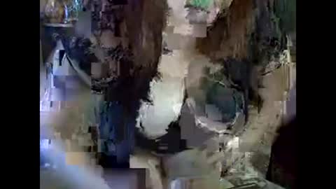 ElenaZed online show from March 8, 9:46 am