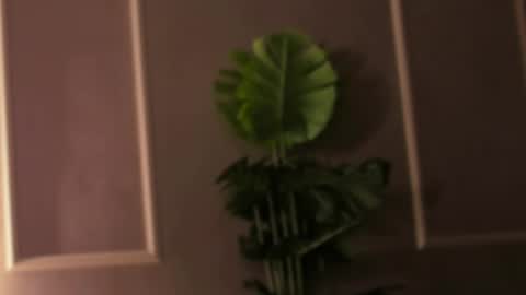 Eli online show from February 18, 4:47 pm