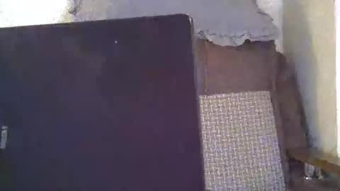 ellajohnsonx online show from February 1, 7:44 pm