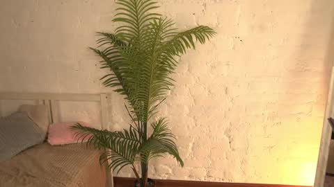 elliefrost online show from March 11, 3:25 am