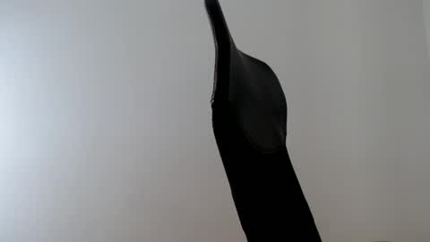 Snapshot of elosocazador chatting on October 9, 2:11 pm elosocazador online show from October 9, 2:11 pm