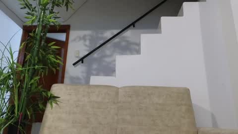 Snapshot of emma_blue_ chatting on October 19, 4:39 am Emma Blue modelo independiente online show from October 19, 4:39 am