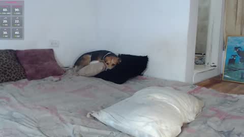 Emely online show from September 20, 7:44 am