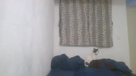 erichpollo online show from January 12, 12:28 am