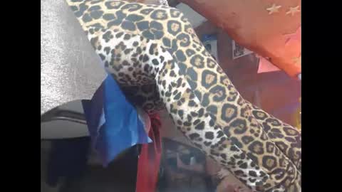 Eskela911 online show from March 23, 8:30 am