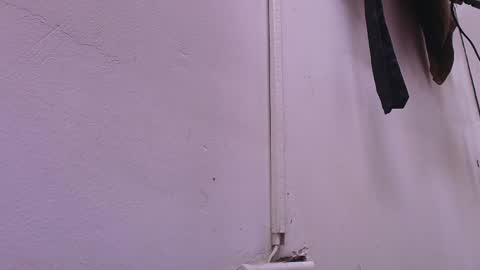Snapshot of estrella_hanks_ chatting on February 22, 11:57 am Estrella online show from February 22, 11:57 am
