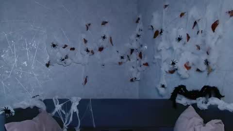 Eva online show from October 24, 7:31 am