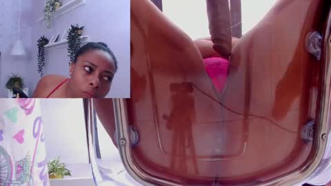 evahalston online show from March 12, 1:58 am