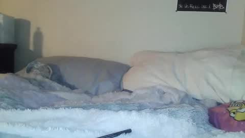 evangeline69xxx online show from February 20, 5:29 am