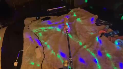 exhibitp online show from September 16, 2:46 am