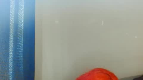 Snapshot of exoticlexi chatting on October 2, 3:22 pm Exoticlexxii online show from October 2, 3:22 pm