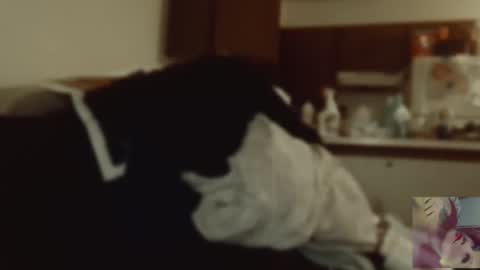 Snapshot of exoticlexi chatting on September 9, 8:09 pm Exoticlexxii online show from September 9, 8:09 pm