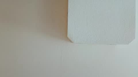 farmhouse451 online show from December 1, 5:44 pm